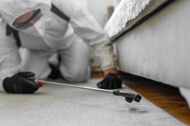 Professional Bed Bug Control technician working in Ann Arbor, MI